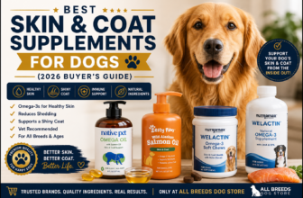 Golden Retriever with top-rated skin and coat supplements for dogs featured in the 2026 Buyer's Guide, including omega-3 fish oil and salmon oil products for healthy skin and a shiny coat.