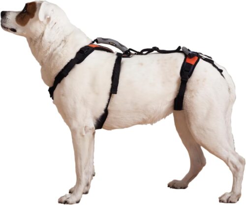 Help ‘Em Up® – Dog Lift Harness│ Adjustable Lifting Harness for Dogs │ Full Body Support, Rear Leg Support