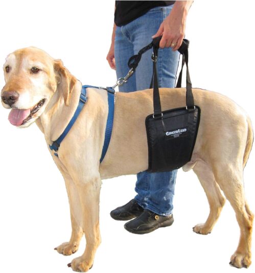 Dog Sling Hind Leg Support, M/LG Unisex with Cutout, Made in USA | Help Pets Walk, K9s Recover from Surgery, Fits Male & Female, Integrated Leash, Machine Wash/Dry, Chest Harness NOT Included
