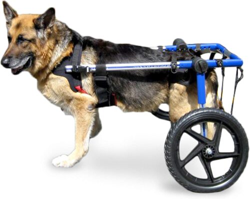 Walkin’ Wheels Dog Wheelchair – Veterinarian Approved – Dog Wheelchair for Back Legs