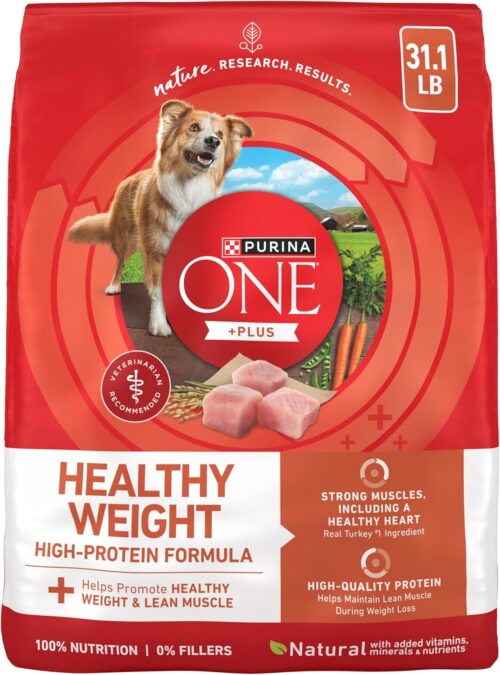 Purina ONE Plus Healthy Weight High-Protein Dog Food Dry Formula