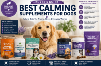 Relaxed Golden Retriever with top-rated calming supplements for dogs, highlighting natural ingredients that help reduce anxiety, stress, travel nervousness, and separation anxiety.