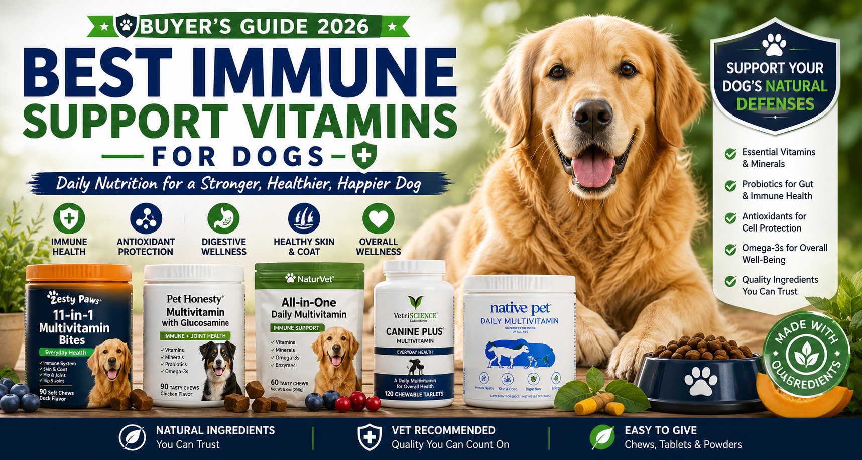 olden Retriever with immune support vitamins for dogs featuring multivitamins, probiotics, antioxidants, omega-3s, and essential nutrients for canine wellness.