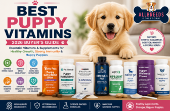 Best puppy vitamins for 2026 featuring puppy multivitamins, probiotics, omega-3 supplements, joint support, and a healthy Golden Retriever puppy.