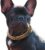 a_Cuban Link Dog Collar – 3/4 inch Wide Light Metal Gold