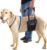 Dog Sling Hind Leg Support, M/LG Unisex with Cutout, Made in USA | Help Pets Walk, K9s Recover from Surgery, Fits Male & Female, Integrated Leash, Machine Wash/Dry, Chest Harness NOT Included