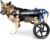 Walkin’ Wheels Dog Wheelchair – Veterinarian Approved – Dog Wheelchair for Back Legs