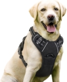 Best Harness for Labrador Retrievers: rabbitgoo Dog Harness Review
