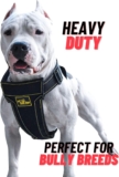 KNK Heavy Duty Dog Harness Vest for the American Bully: A Comprehensive Review