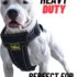 Top 10 Must-Have Accessories for American Bully Owners
