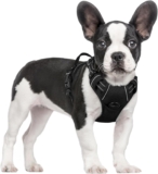 Top Dog Harnesses of 2025: Best Options for Large Dogs, Medium Dogs, Small Dogs, and Puppies