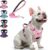 1_BEAUTYZOO No Pull Dog Harness and Leash Set with 2 Metal Leash Clips – Overhead-Free 3 Snap Buckles Design, Adjustable No-Choke Soft Padded Reflective Oxford Pet Vest for Small Medium Large Dogs, Pink