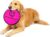 5_Hyper Pet Flippy Flopper Dog Frisbee Interactive Dog Toys [Flying Disc Dog Fetch Toy – Floats in Water & Safe on Teeth] (Colors Will Vary), Multicolor, 9″