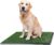 PETMAKER Artificial Grass Puppy Pee Pad for Dogs and Small Pets with Tray – 20×30 inches Washable 3-Layer Reusable Indoor Dog Potty Grass Training Pad, Easy Clean Pet Housebreaking Potty Solution