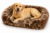 3_Pelsbarn Luxurious Orthopedic Dog Bed – X-Large (47.24″ x 31.49″) Therapeutic Joint Support Pet Bed – Velvety Soft Removable Washable Cover