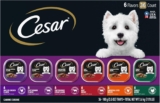 CESAR Adult Wet Dog Food Classic Loaf in Sauce Variety Pack: A Comprehensive Review