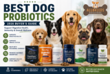 Best Dog Probiotics (2026 Buyer’s Guide)