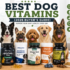 Best Allergy Relief Products for Dogs (2026 Buyer’s Guide)