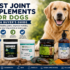 Best Fish Oil & Omega-3 Supplements for Dogs (2026 Buyer’s Guide)