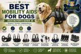 Best Mobility Aids for Dogs (2026 Buyer’s Guide)