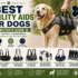 Best Weight Management Dog Foods (2026 Buyer’s Guide)