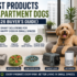 Best Dog Harnesses for Pulling Dogs (2026 Review)