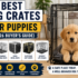 Best Dog Harnesses for Pulling Dogs (2026 Review)