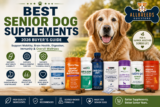 Best Senior Dog Supplements (2026 Buyer’s Guide)