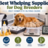 Best Whelping Boxes for Dogs (2027 Buyer’s Guide)